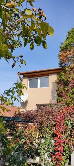 Flora House 3 Minutes From Lake Balaton Keszthely Exterior photo